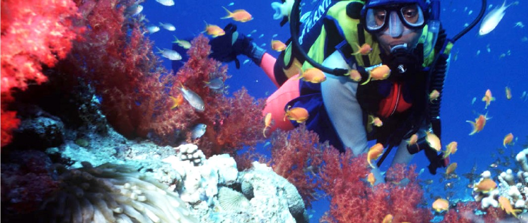 Biodiversity and Conservation